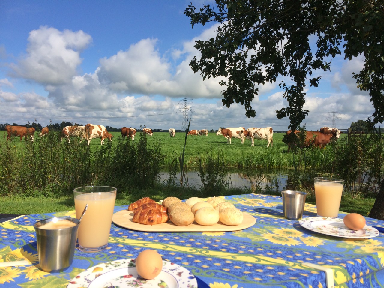ontbijt met uitzicht over de koeien